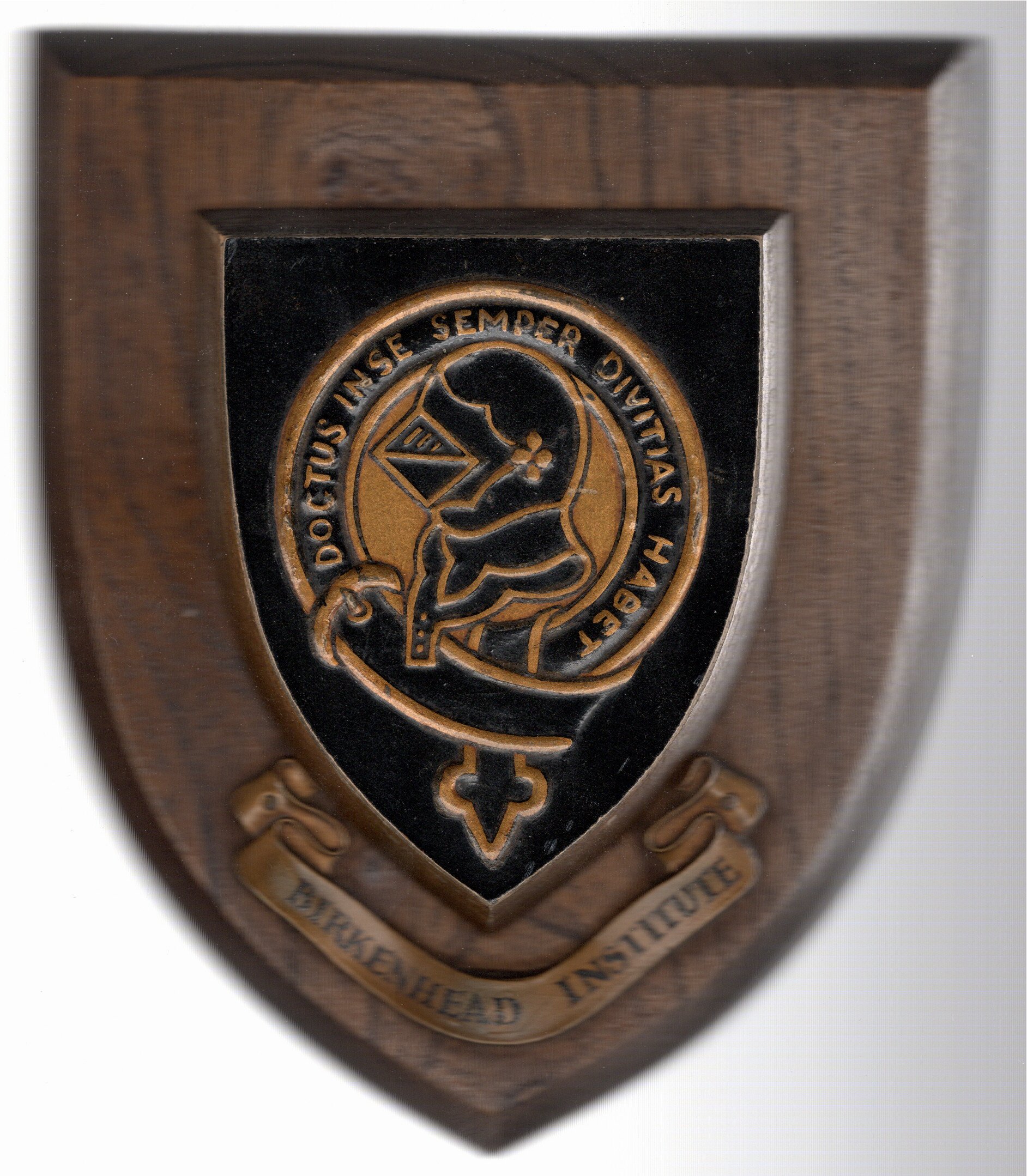 Photograph of School Wooden Shield - Front